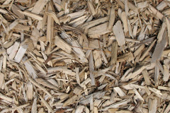 biomass boilers Ruabon